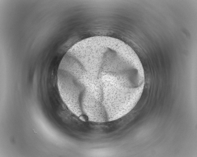 X0000114490334200911161218