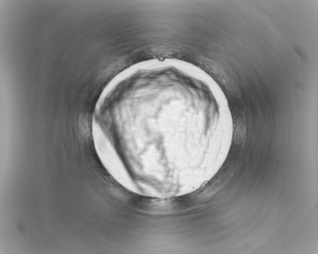 X0000114490335200911161218