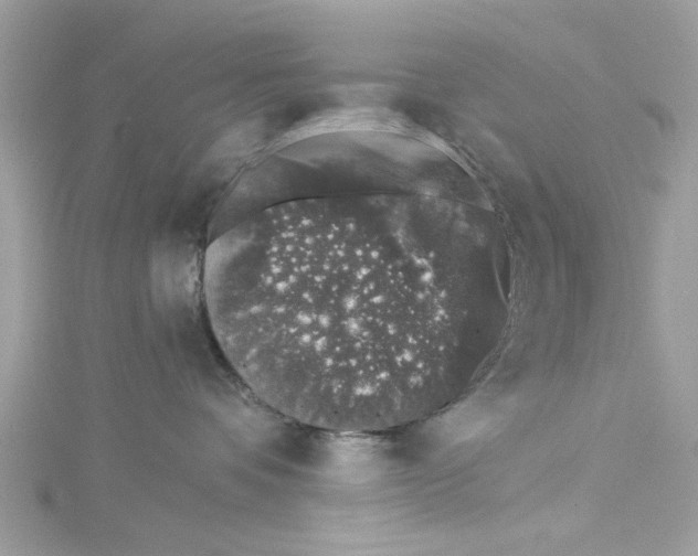 X0000114490336200911161218