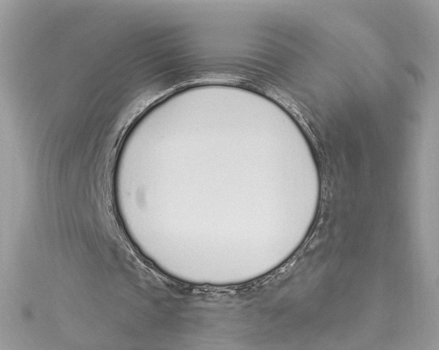 X0000114490337200911161217