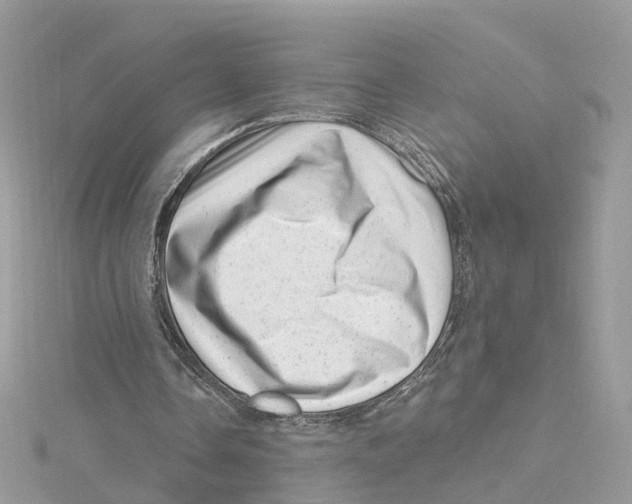 X0000114490338200911161217