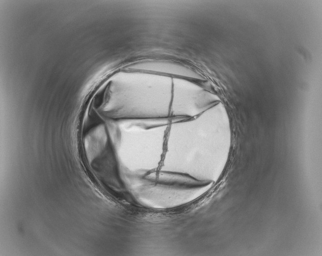 X0000114490341200911161217