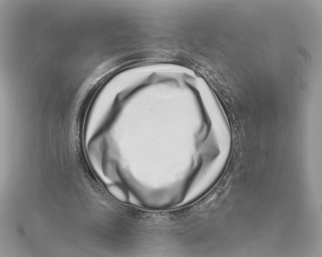 X0000114490343200911161217