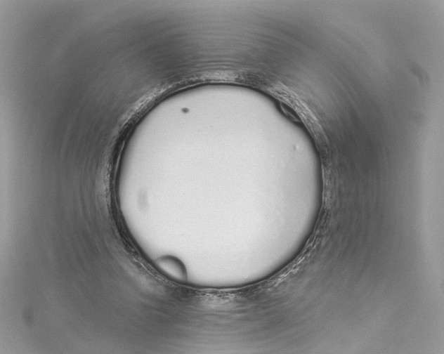 X0000114490346200911161217