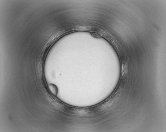 X0000114490349200911161217