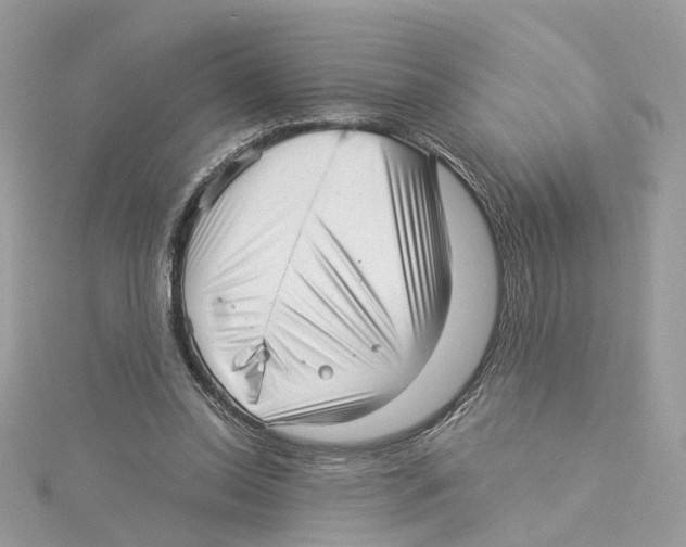 X0000114490350200911161217