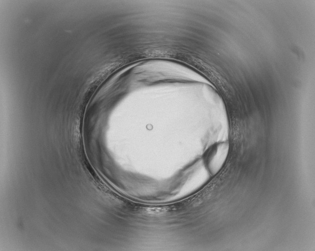 X0000114490353200911161217