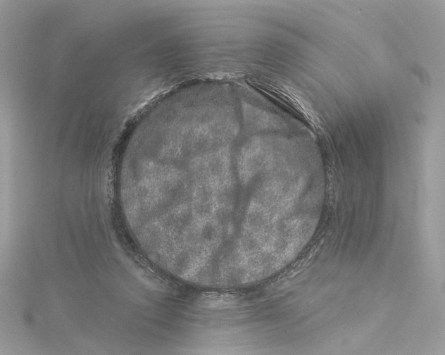 X0000114490354200911161217