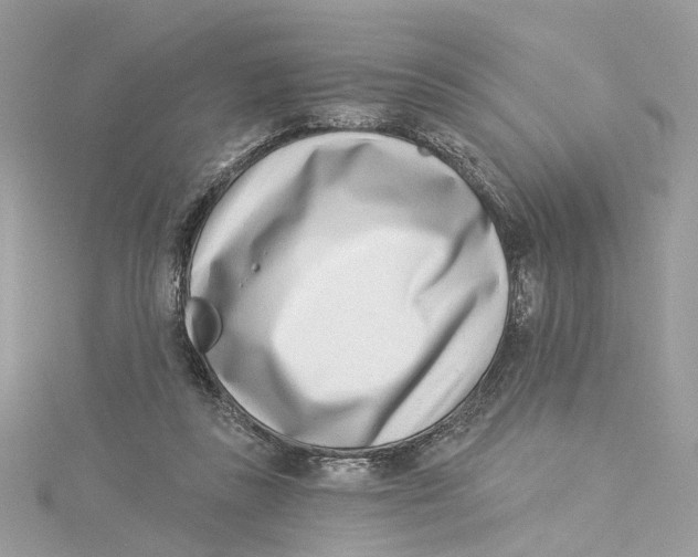 X0000114490355200911161217