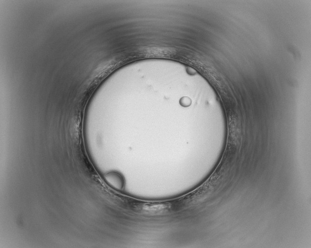 X0000114490357200911161217