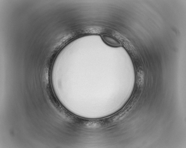 X0000114490358200911161217