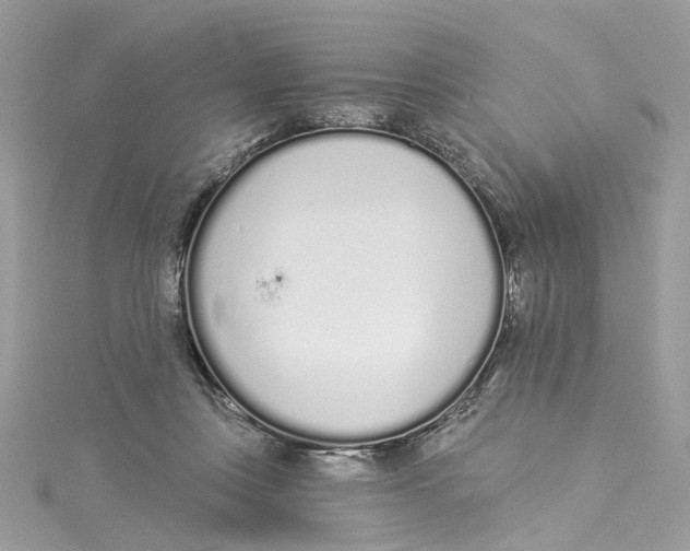 X0000114490359200911161217