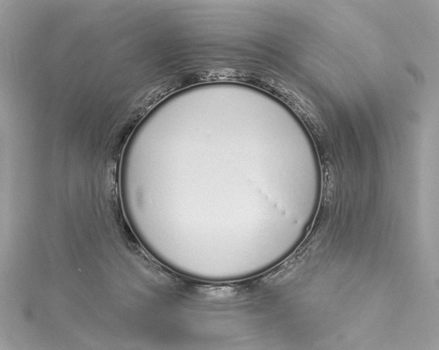 X0000114490361200911161217