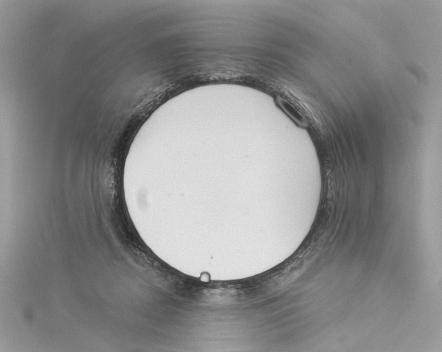 X0000114490362200911161217