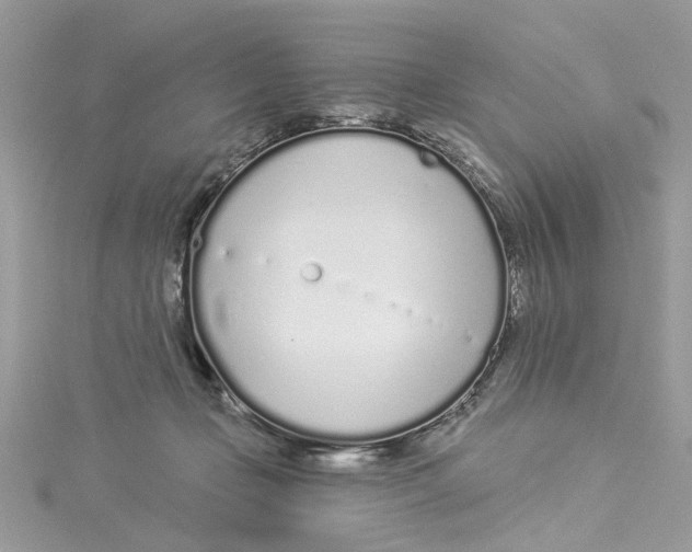 X0000114490365200911161217