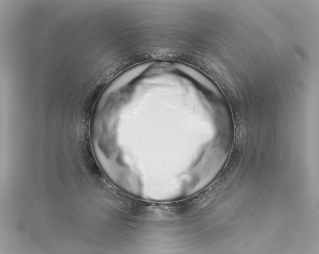 X0000114490367200911161217