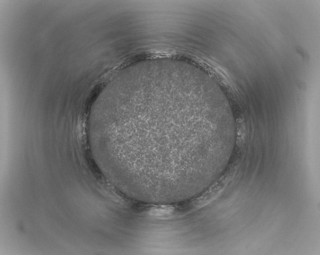 X0000114490369200911161217