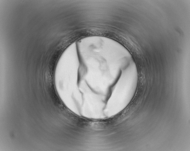 X0000114490371200911161217