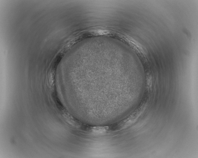 X0000114490373200911161217