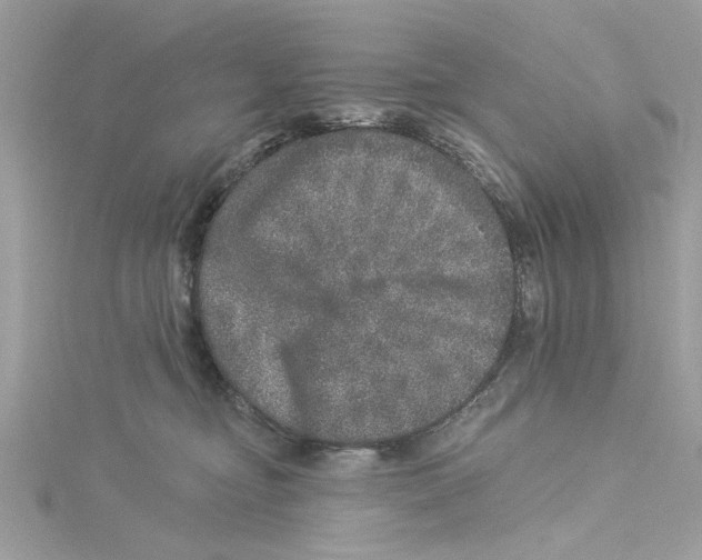 X0000114490374200911161217