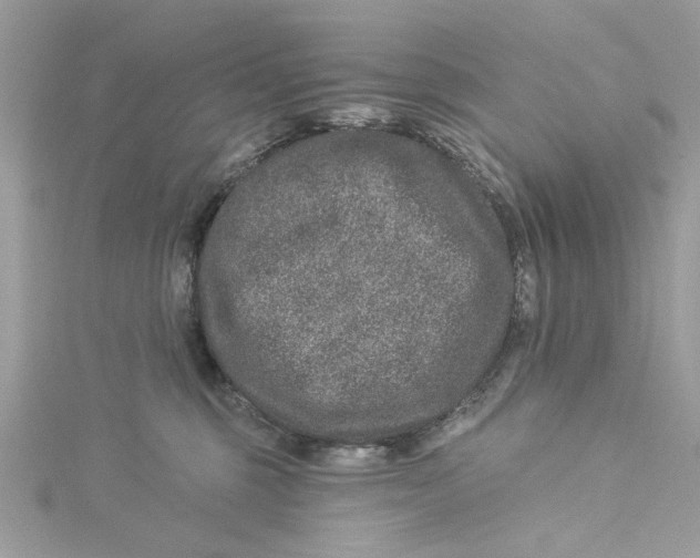 X0000114490375200911161217