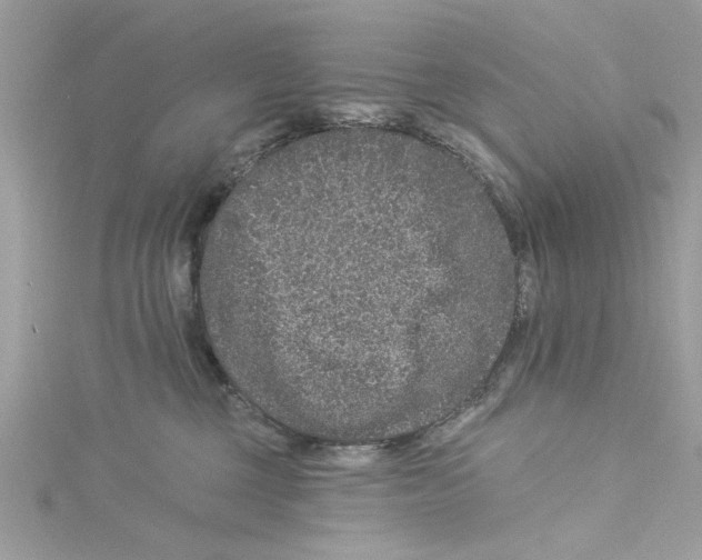 X0000114490377200911161217