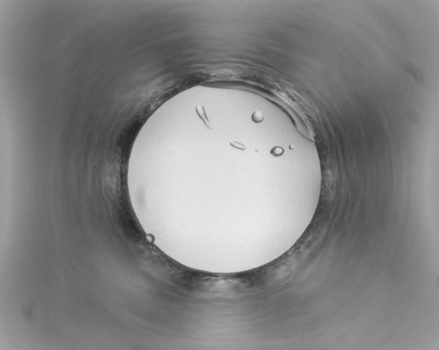 X0000114490379200911161217