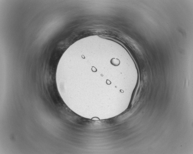 X0000114490382200911161218