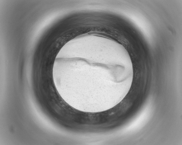 X0000114490383200911161218