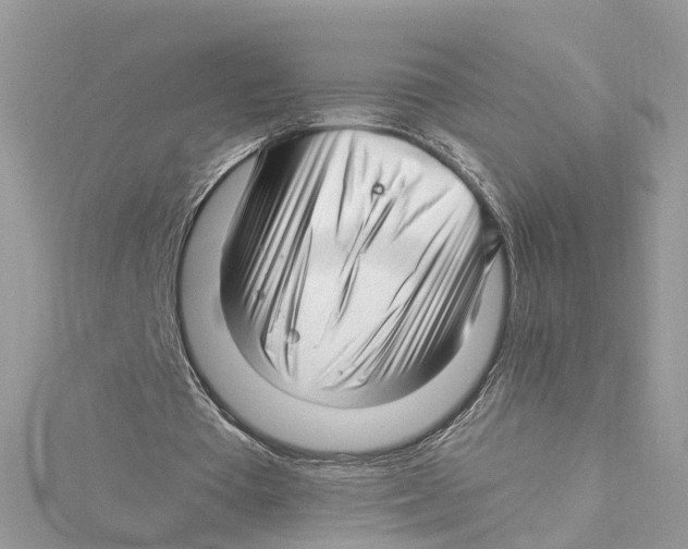 X0000114490385200911161217