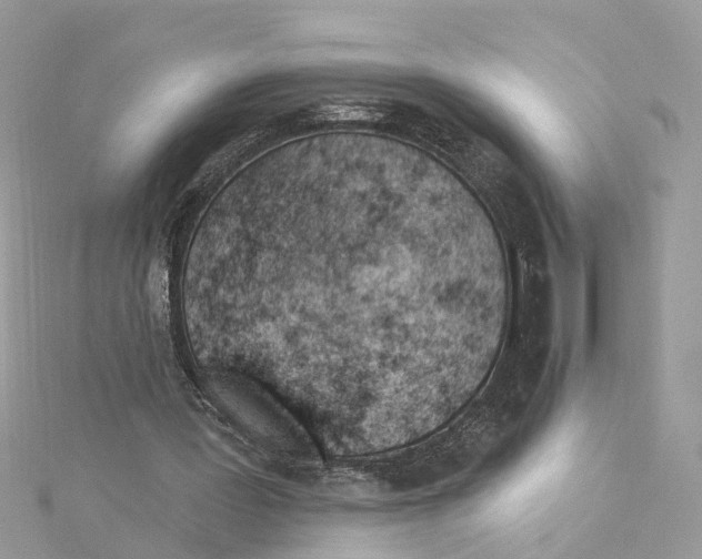 X0000114490387200911161217