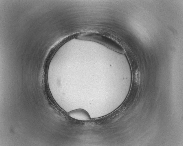 X0000114490388200911161217