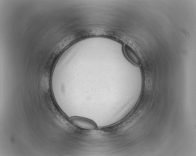 X0000114490393200911161217