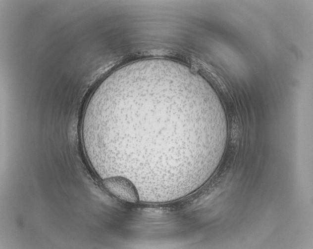 X0000114490394200911161217