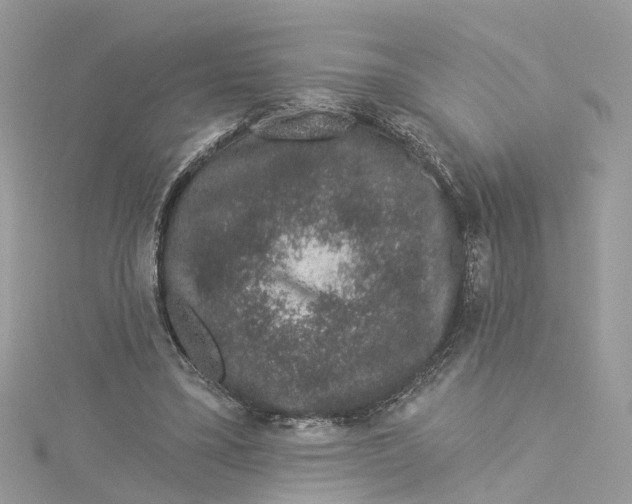 X0000114490395200911161217