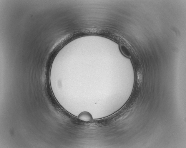 X0000114490396200911161217