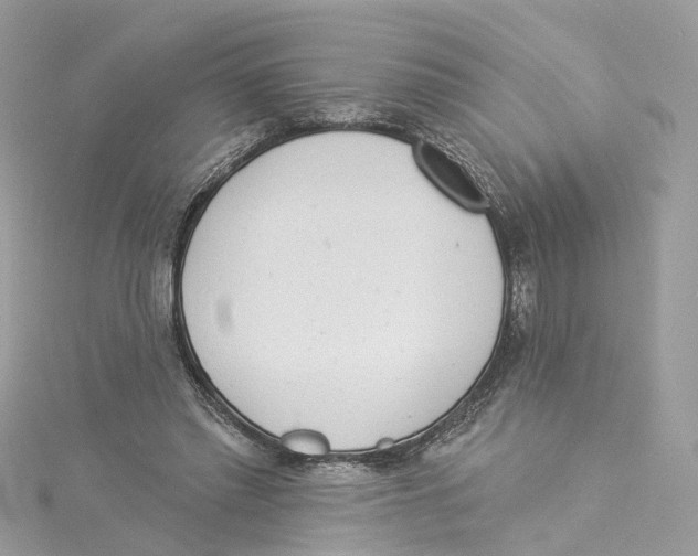 X0000114490397200911161217