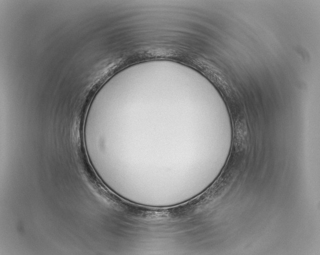 X0000114490398200911161217