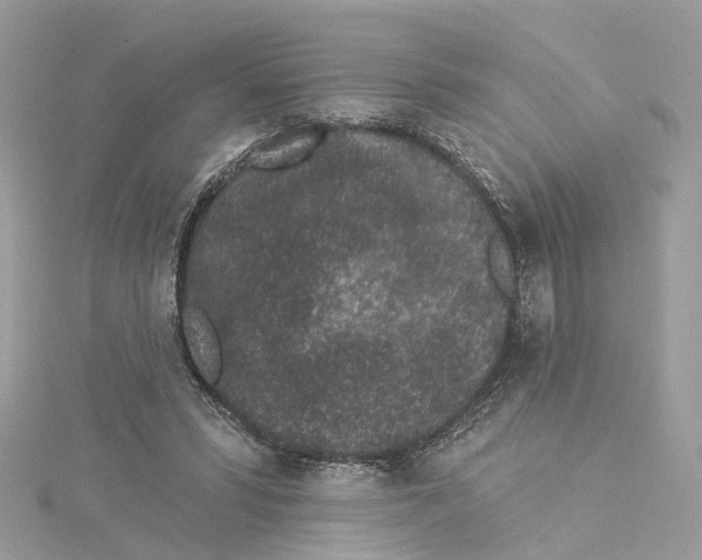 X0000114490399200911161217