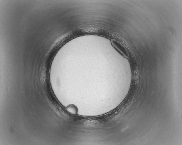 X0000114490400200911161217