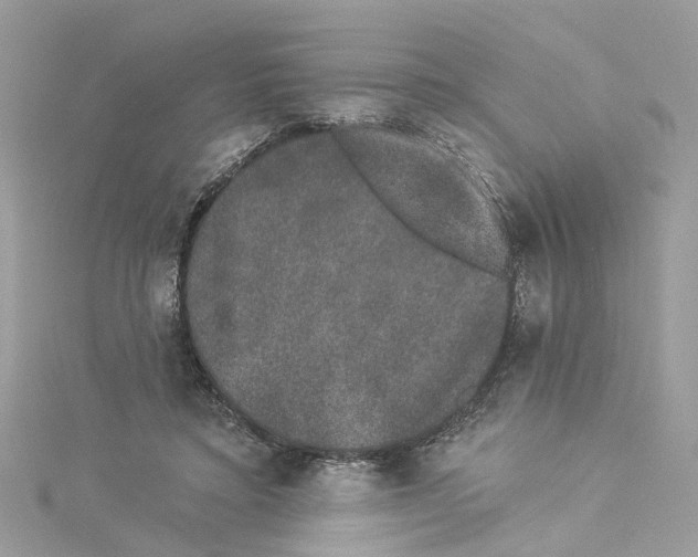 X0000114490403200911161217