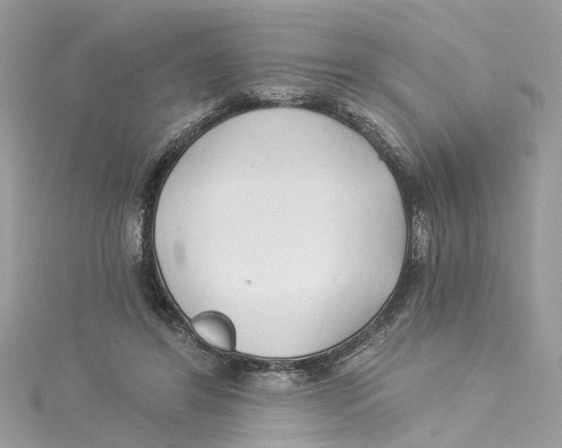 X0000114490404200911161217