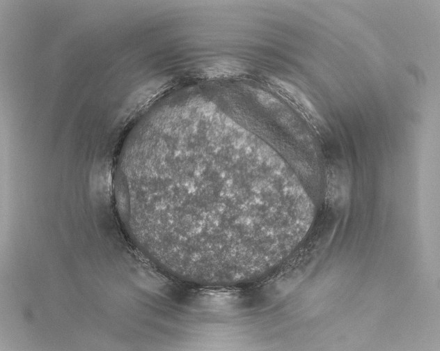 X0000114490405200911161217