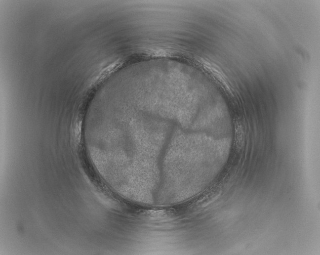 X0000114490406200911161217