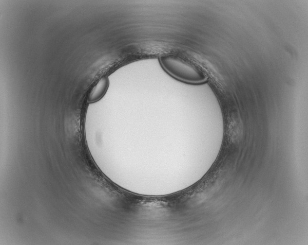 X0000114490407200911161216