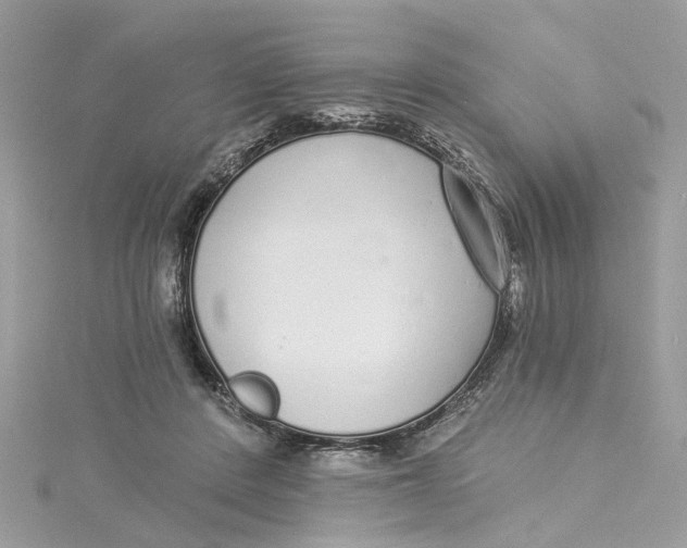 X0000114490408200911161216