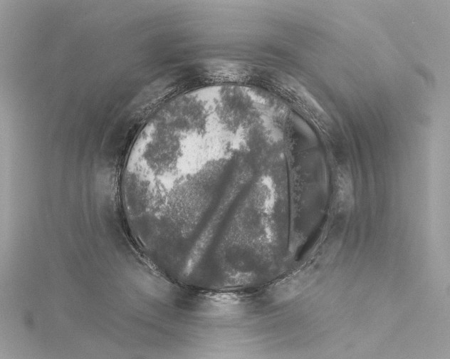 X0000114490409200911161216