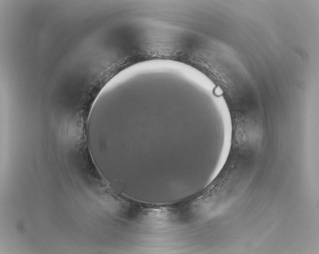 X0000114490411200911161216