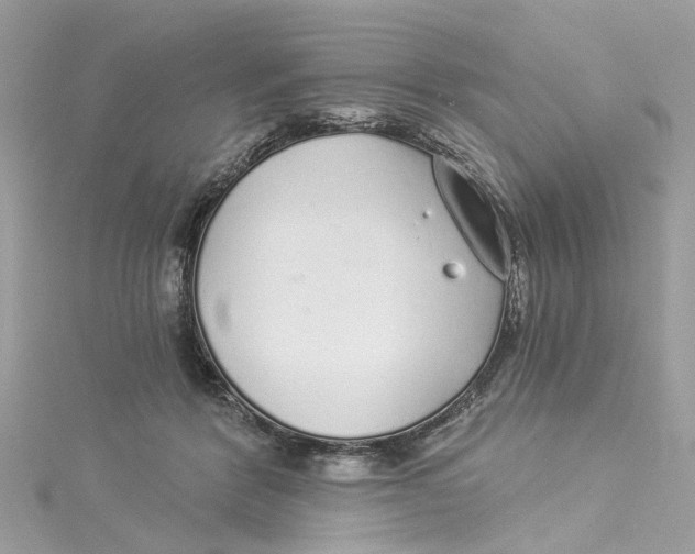 X0000114490412200911161216