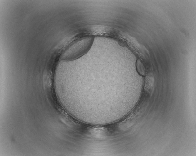 X0000114490413200911161216